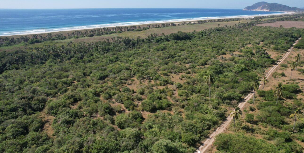 Cerro Hermoso Oaxaca - DJI_0354