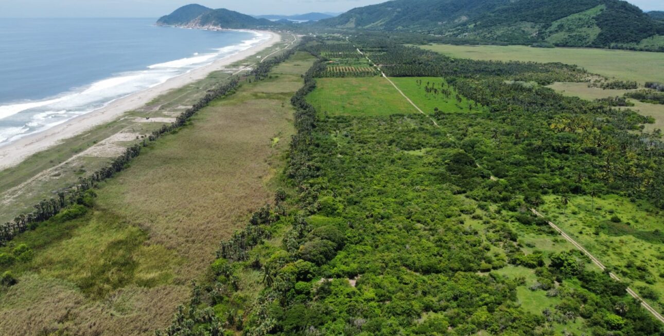 hectareas primera linea de playa costa oaxaca - Puerto Escondido 2